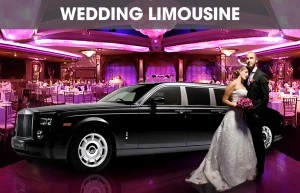 Long Island Wedding Limousine Service