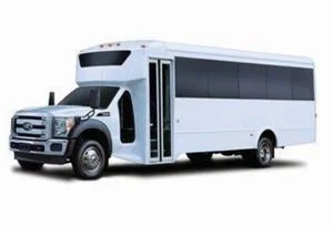 Long Island 20 passenger party bus