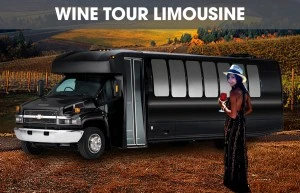 North Fork and South Fork Wine Tour Limousine