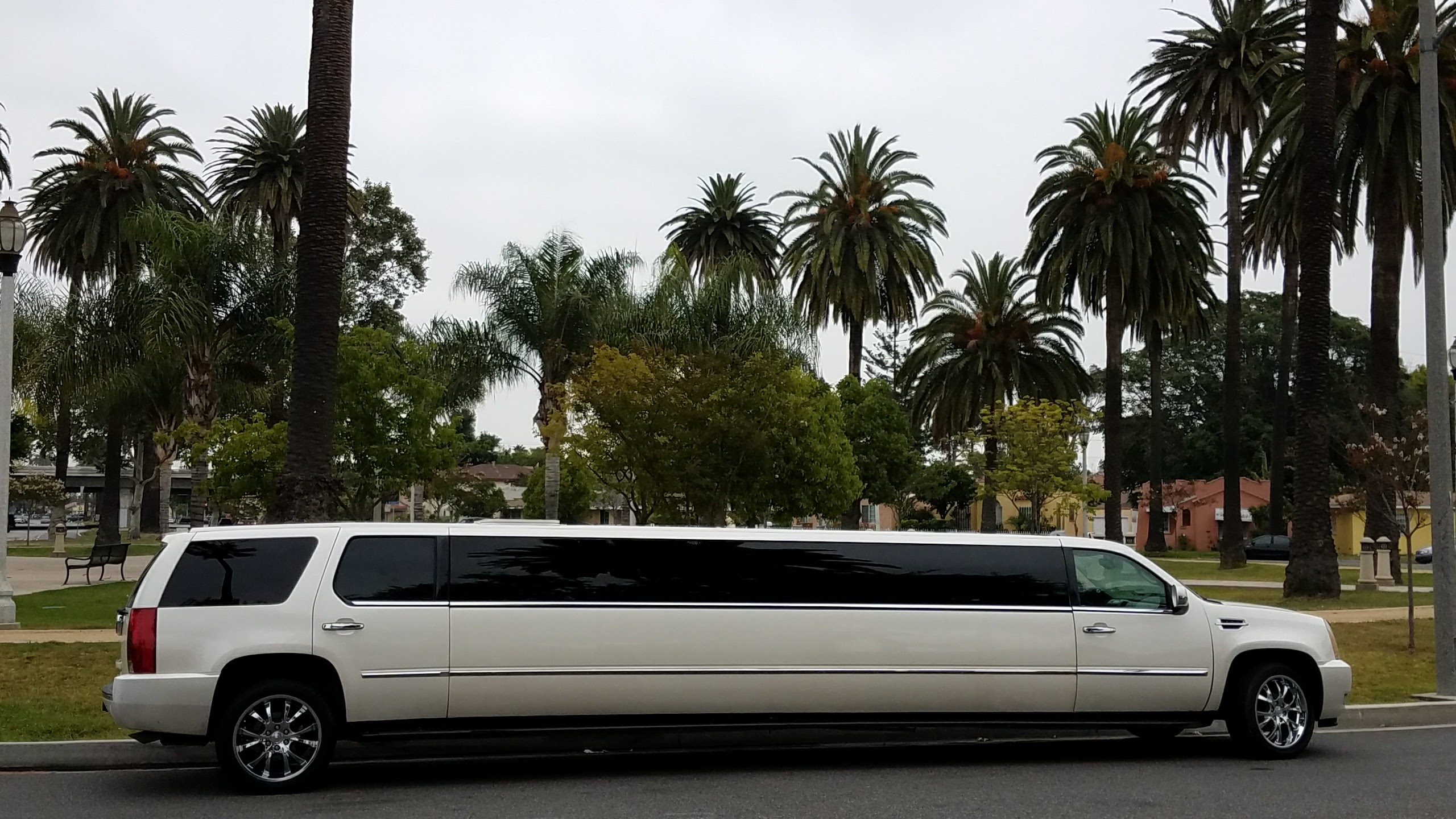 14 Passenger STRETCH LIMO NYC