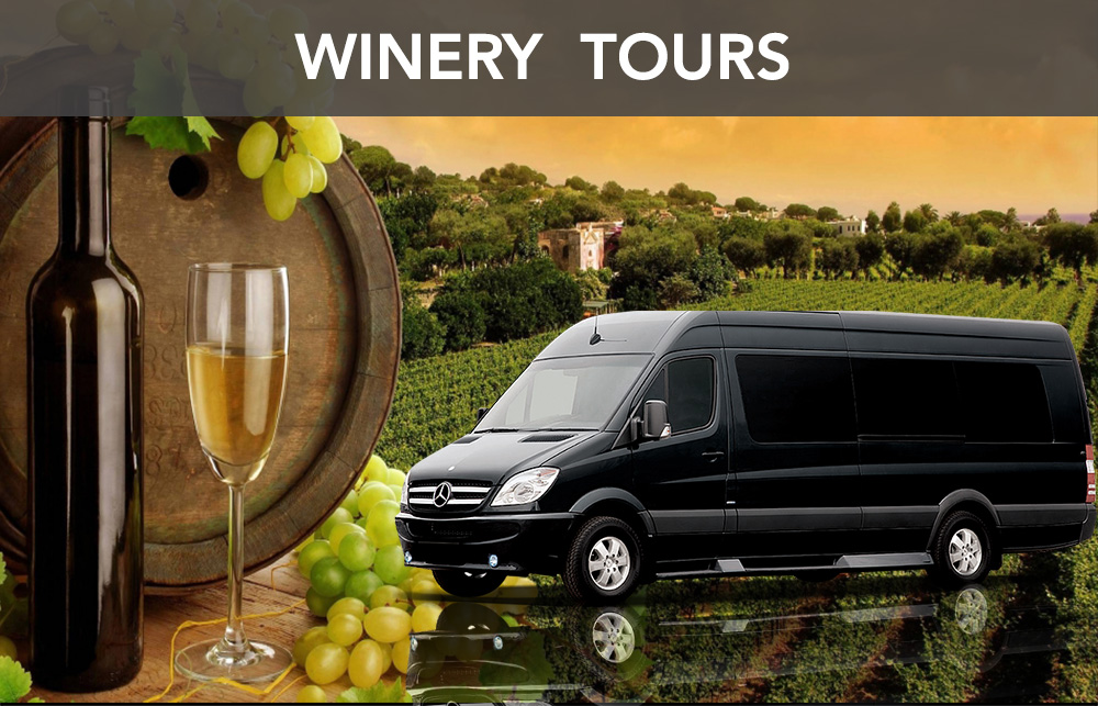 limo and wine tours