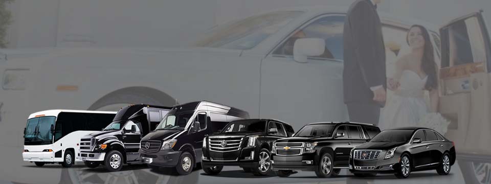 How to Hire Limo in Long Island NY