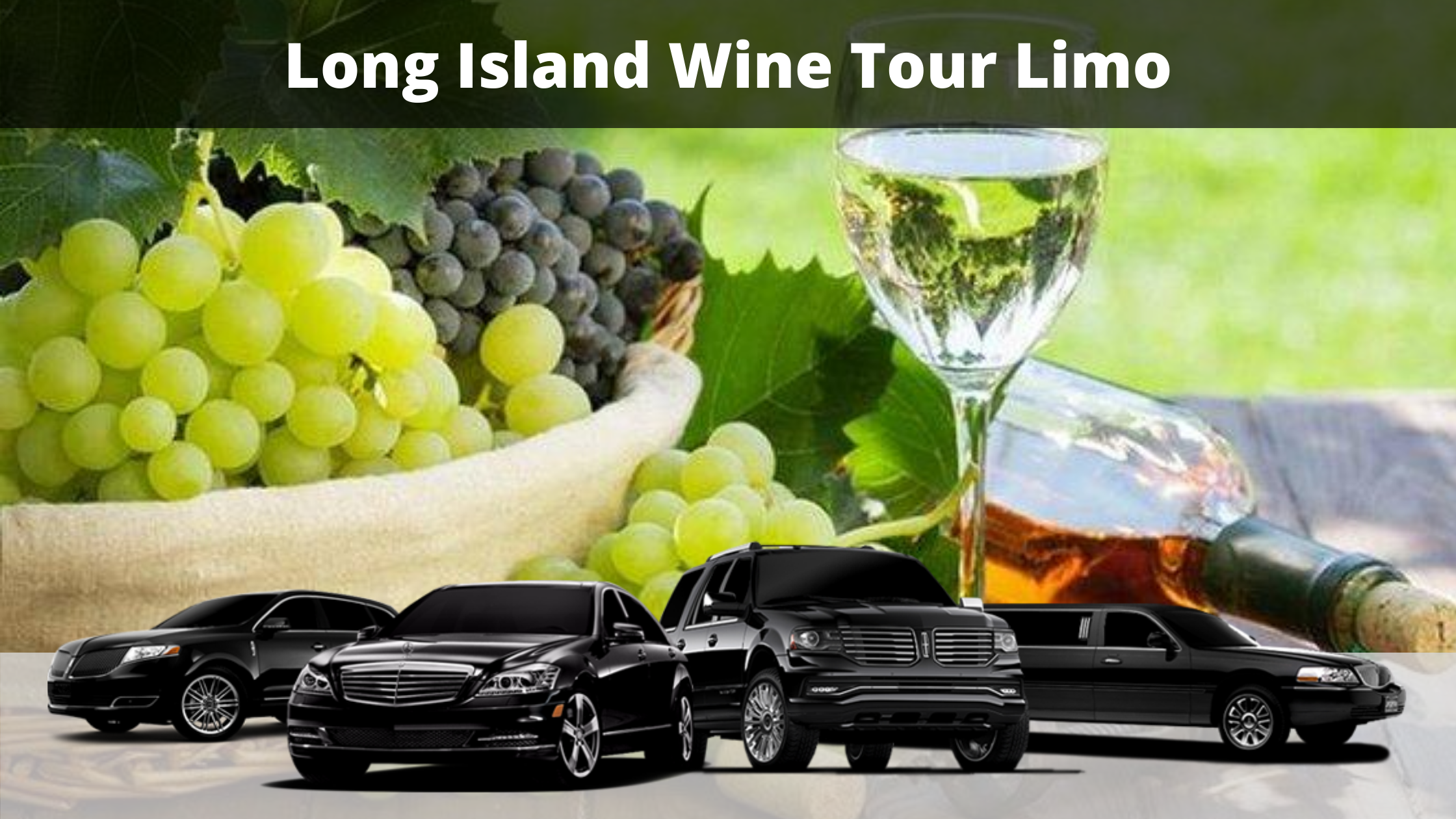 Long Island Wine Tour Limo From NYC