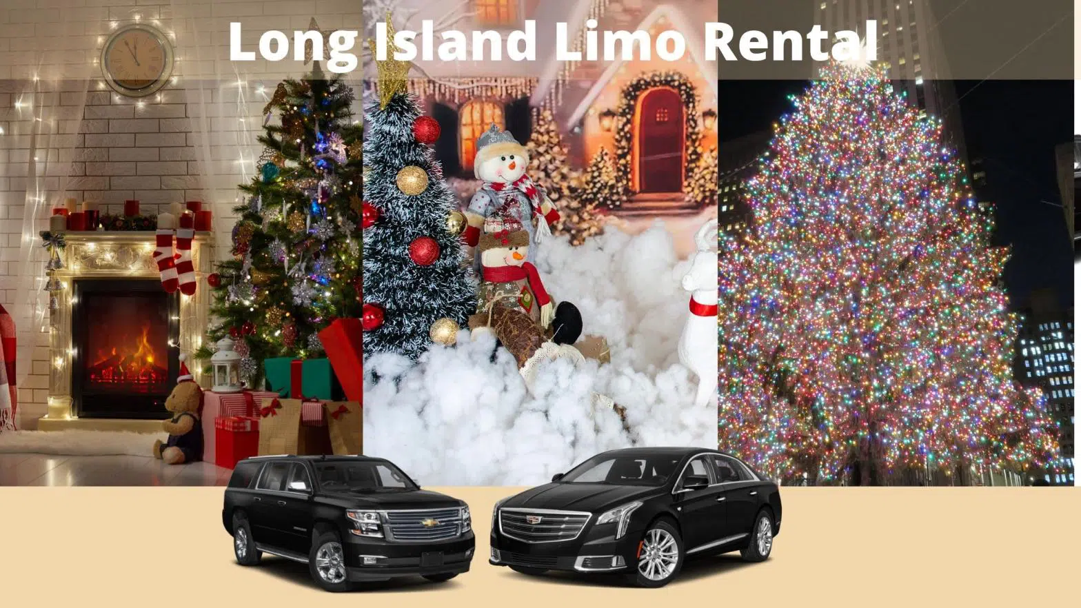 Celebrate your Christmas Holiday