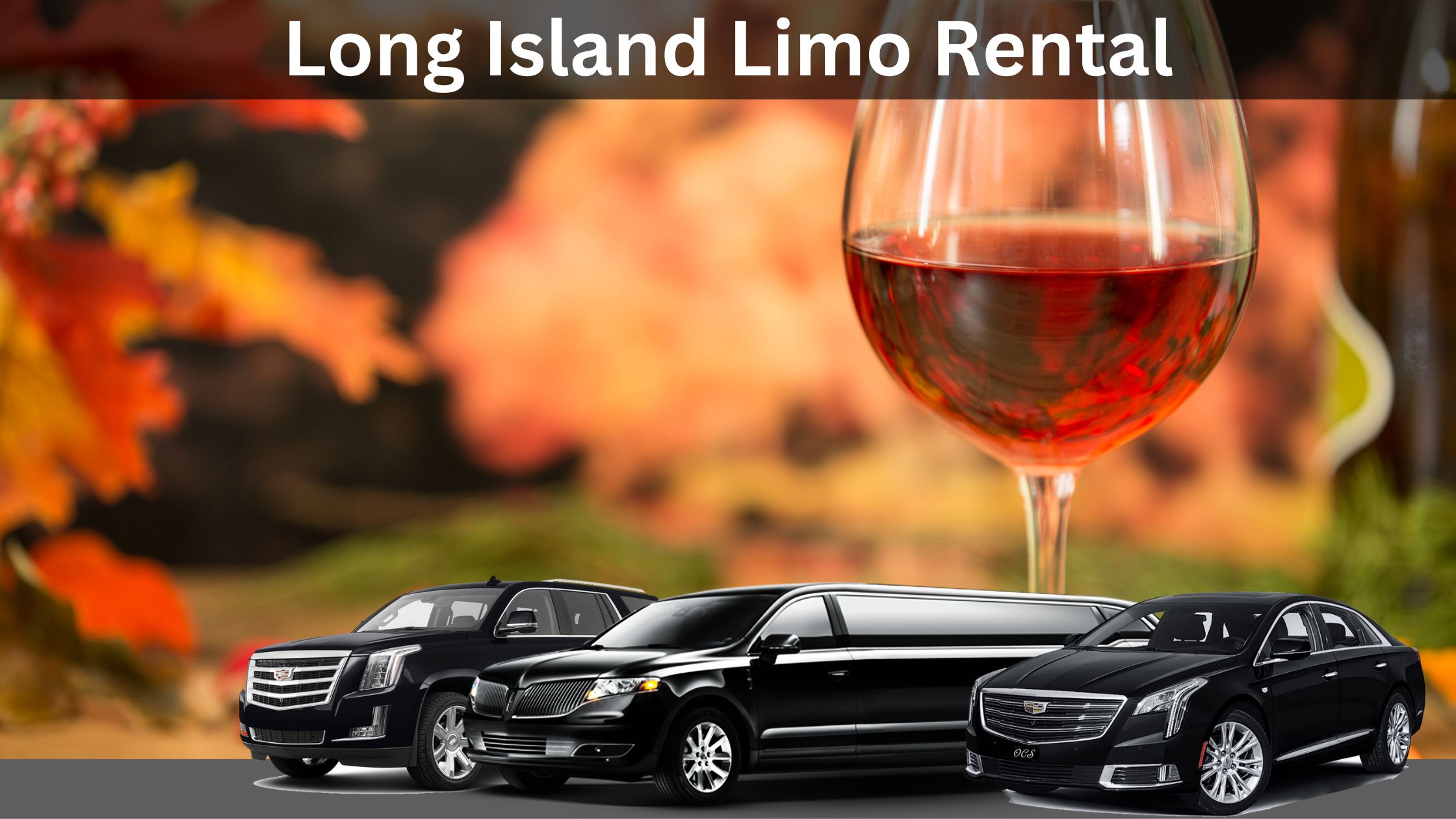 Embark on a Mesmerizing Fall Wine Tour with Long Island Limo Rental