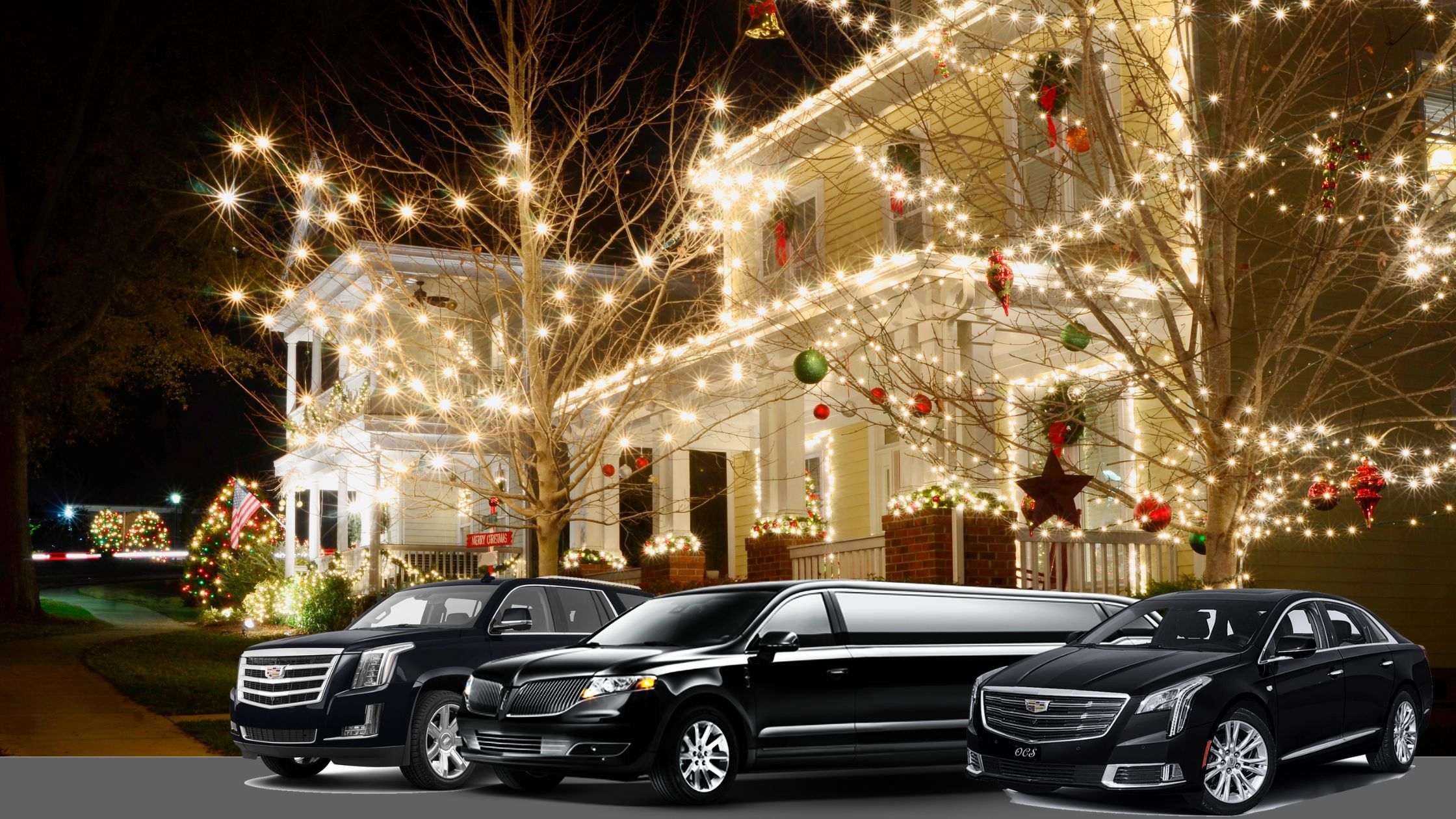 dyker heights limo tour