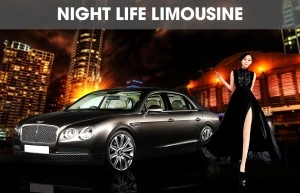 Night Life Limo Service in Long Island, NY | Party Buses & SUVs